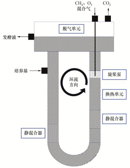 生物转化温室气体生产单细胞蛋白的研究进展