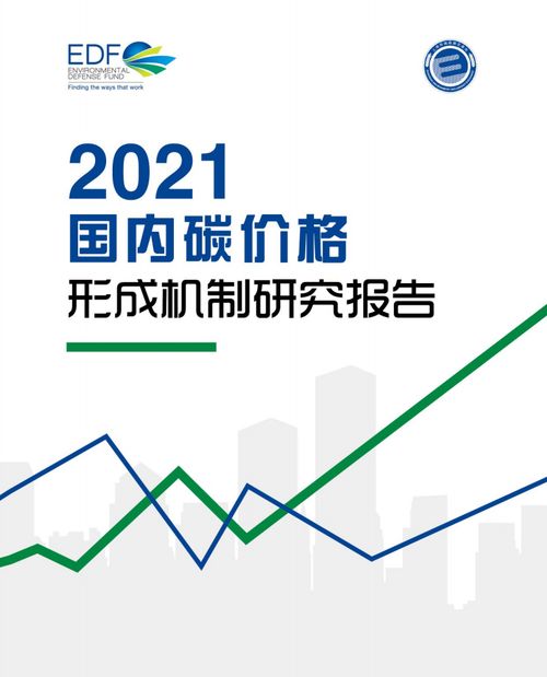 edf 2021国内碳价格形成机制研究报告